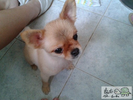 2012-06-18 15.03.19.jpg