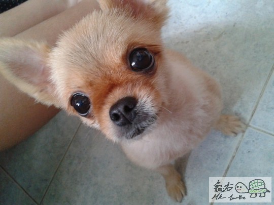 2012-06-18 15.03.27.jpg