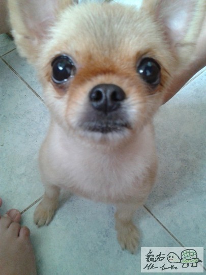 2012-06-18 15.04.19.jpg