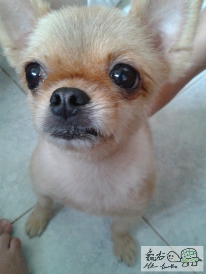 2012-06-18 15.04.23.jpg