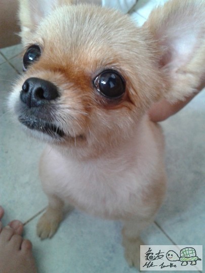 2012-06-18 15.04.27.jpg