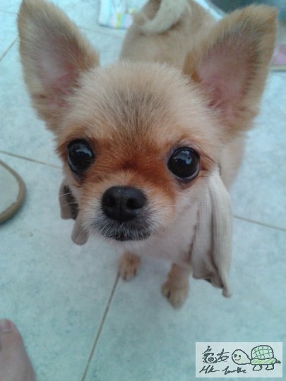 2012-06-18 15.08.20.jpg