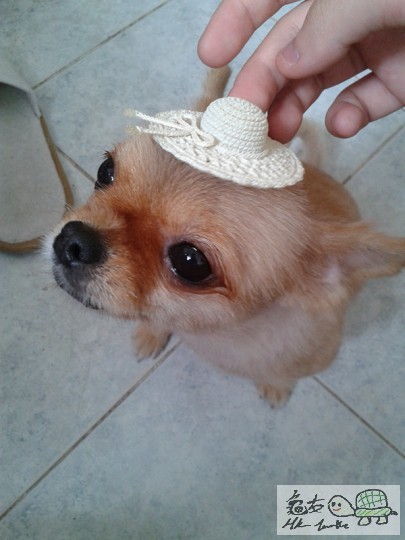 2012-06-18 15.08.39.jpg