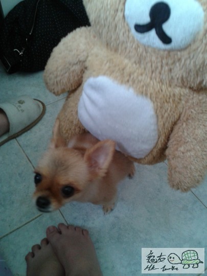 2012-06-18 15.09.05.jpg