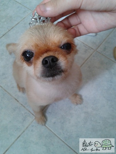 2012-06-18 15.10.12.jpg