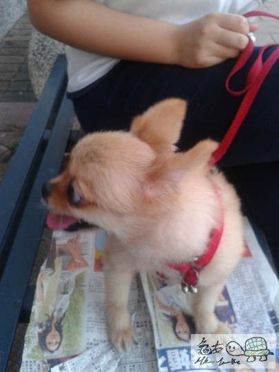 2012-07-04 19.04.43.jpg