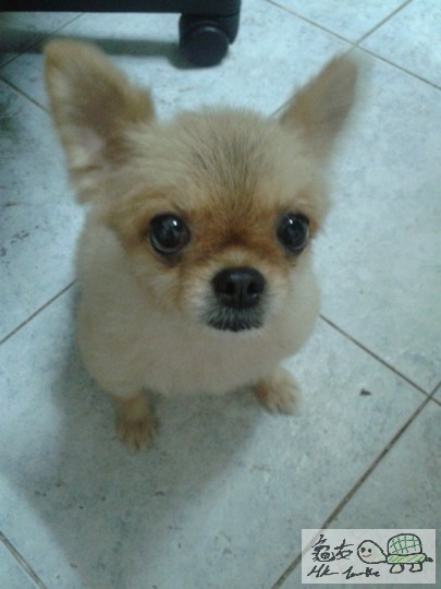 2012-07-06 15.35.43.jpg