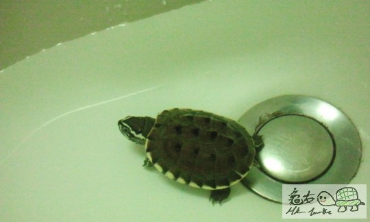 2012-08-20 17.04.18.jpg