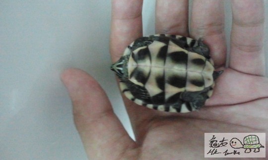 2012-08-20 17.00.03.jpg