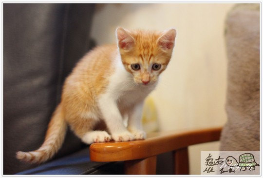 各位哥哥姐姐好 !!