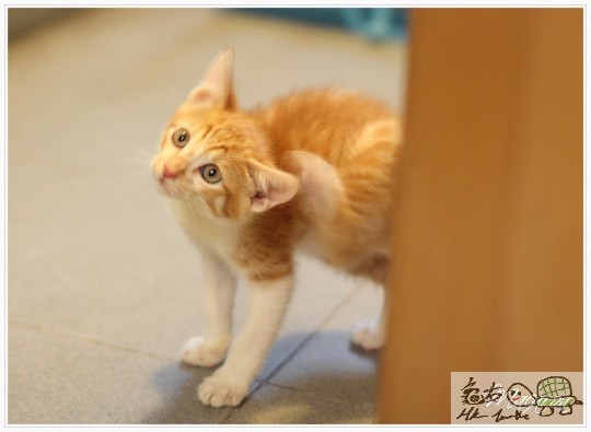 睇下你地攪咩先 !!