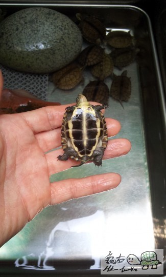 @@@@@@@@@@@@@ 238.jpg