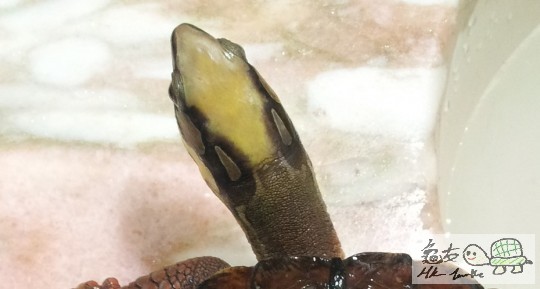 20121001_211248 - 複製.jpg