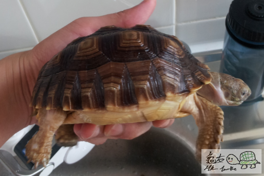 2012-10-04 13.34.06.png