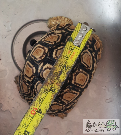 2012-10-04 13.34.35.png