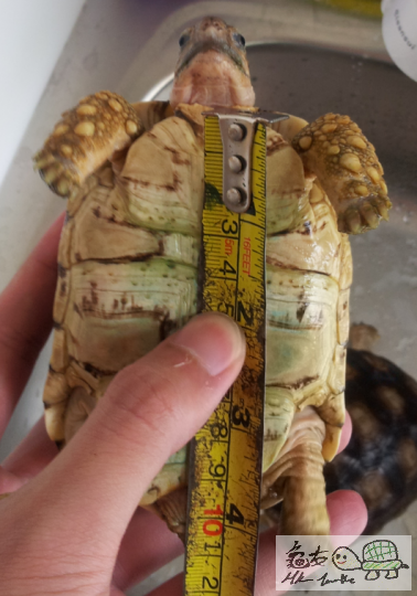 2012-10-04 13.35.09.png