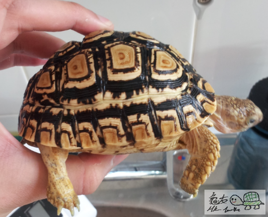 2012-10-04 13.35.50.png