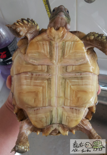 2012-10-04 13.43.22.png