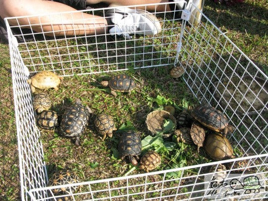 IMG_8624.jpg