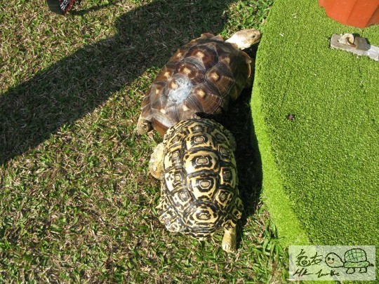 IMG_8638.jpg