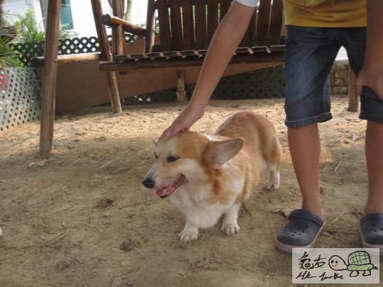 照片 400.jpg