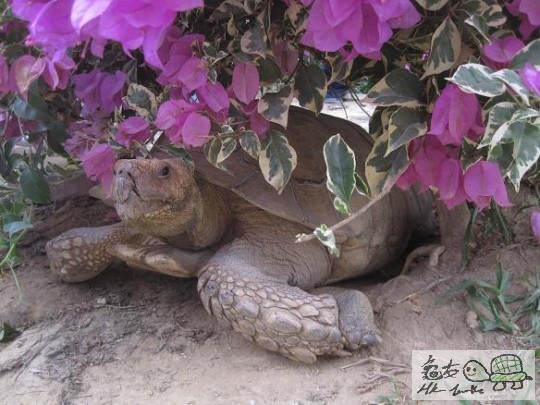 照片 402.jpg