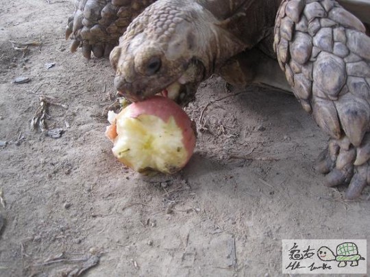 照片 406.jpg