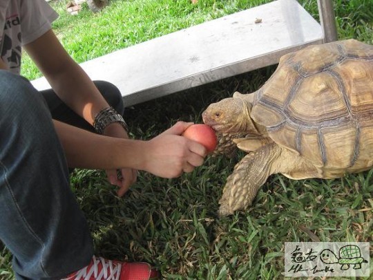 照片 409.jpg