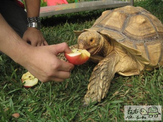 照片 411.jpg