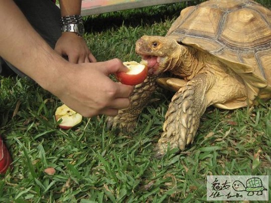 照片 412.jpg