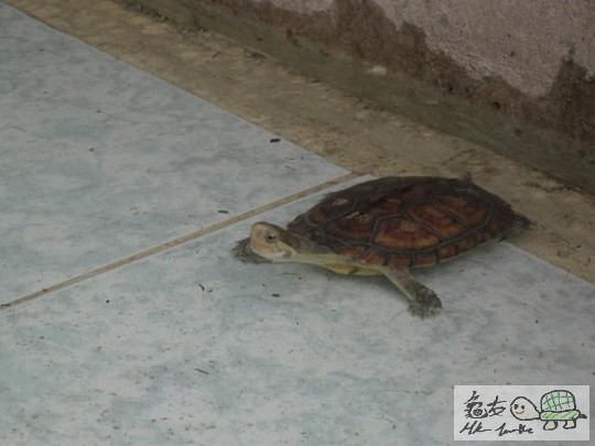 照片 420.jpg