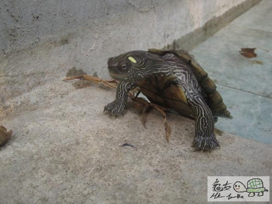 照片 422.jpg