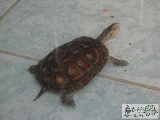 照片 419.jpg
