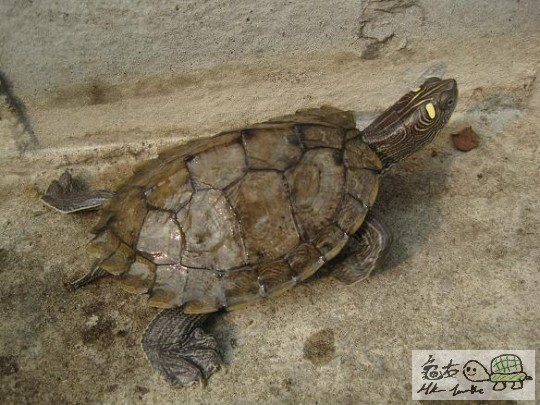 照片 423.jpg