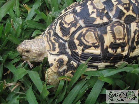 照片 424.jpg