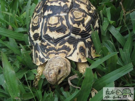 照片 425.jpg