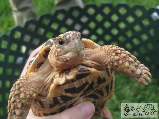 照片 434.jpg
