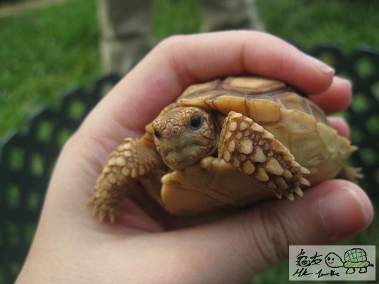 照片 433.jpg