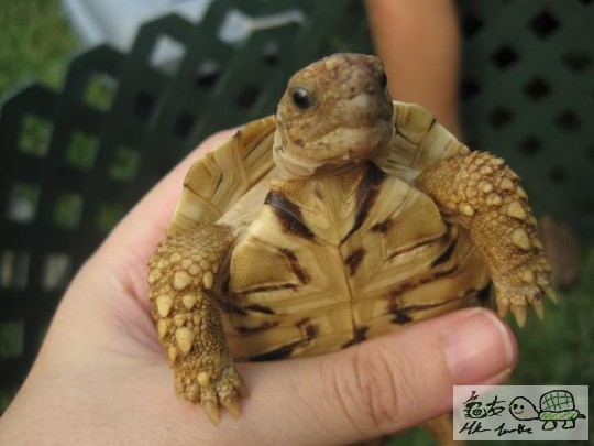 照片 437.jpg