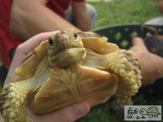 照片 438.jpg