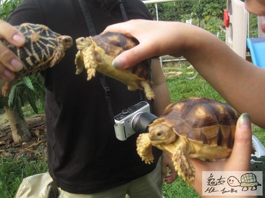 照片 439.jpg