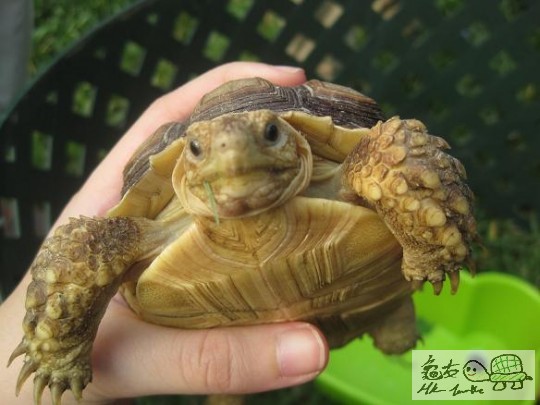 照片 440.jpg