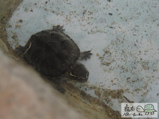 照片 444.jpg