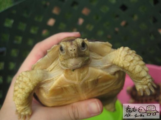 照片 443.jpg