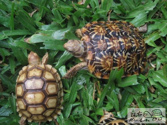 照片 449.jpg
