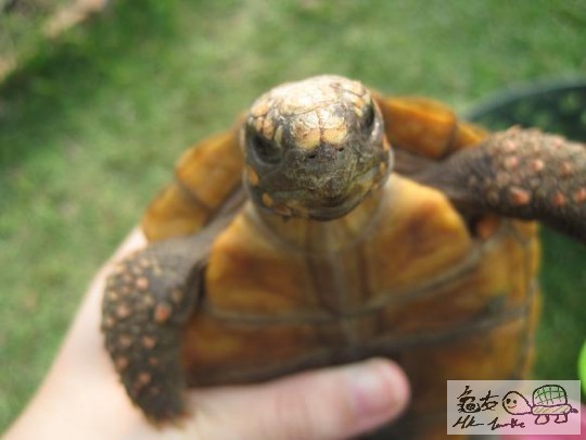照片 445.jpg