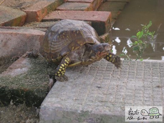 照片 450.jpg