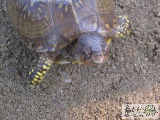 照片 451.jpg