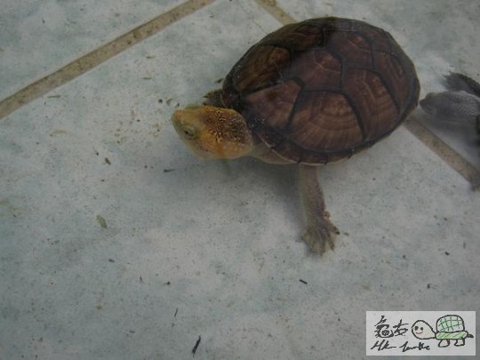 照片 453.jpg