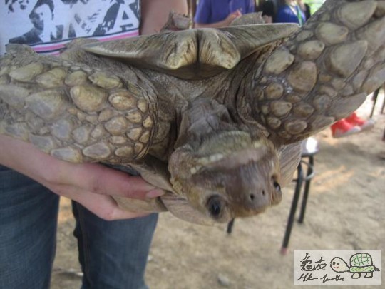 照片 455.jpg
